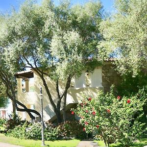Apartments In Residence With Swimming Pool In Porto Rotondo